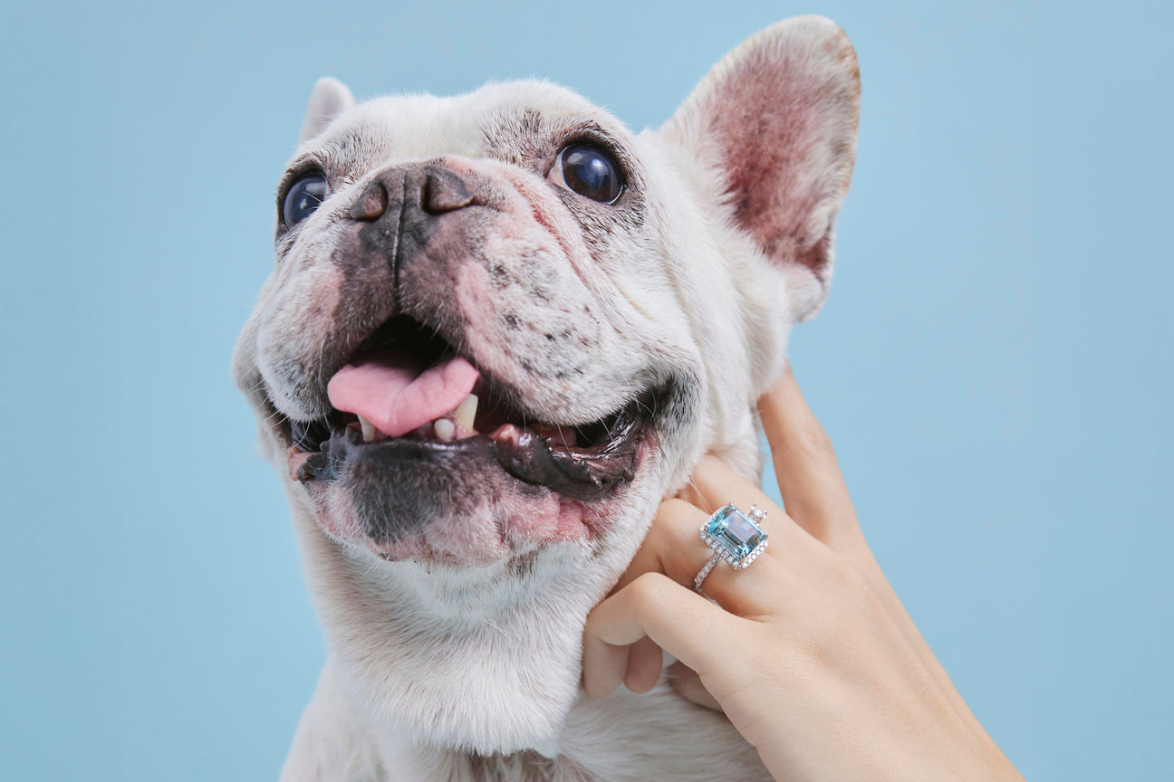 ｜珠寶故事｜將愛犬刻進永恆：6.9克拉海藍寶打造的愛寵珠寶